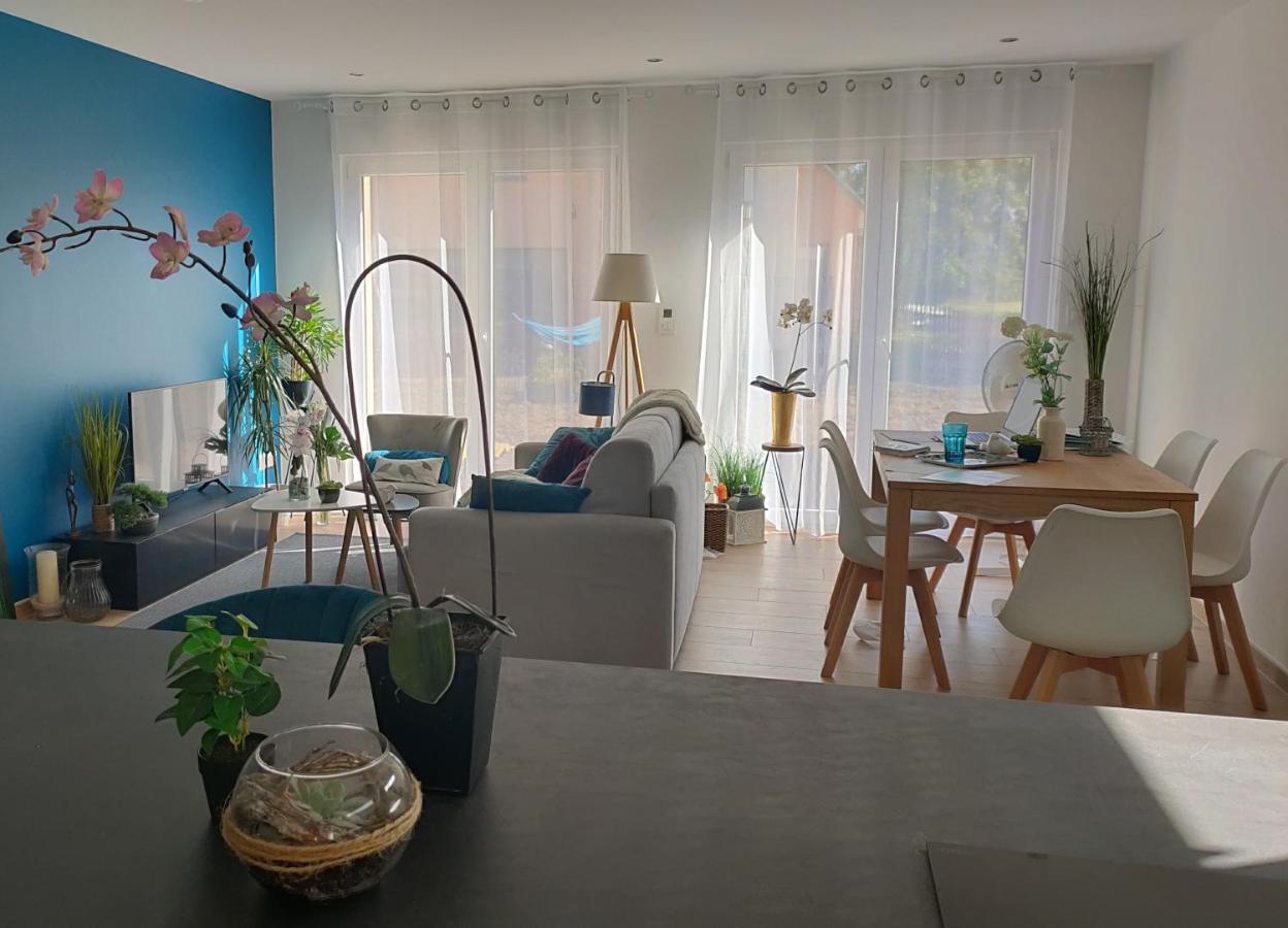 La Maison Bleue, A 20 Mn De Strasbourg, Sur La Route Des Vins, Jusqu'A 6 Personnes, 塞莱斯塔 外观 照片