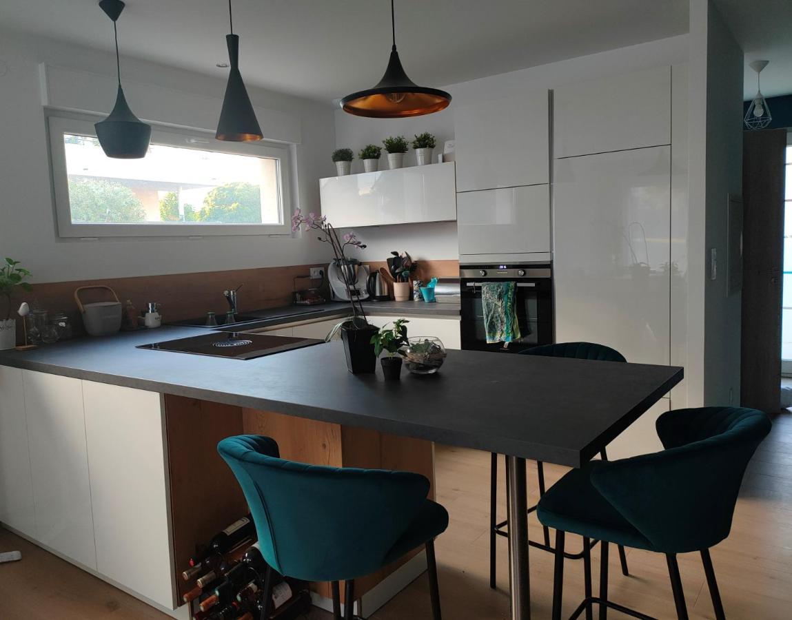 La Maison Bleue, A 20 Mn De Strasbourg, Sur La Route Des Vins, Jusqu'A 6 Personnes, 塞莱斯塔 外观 照片