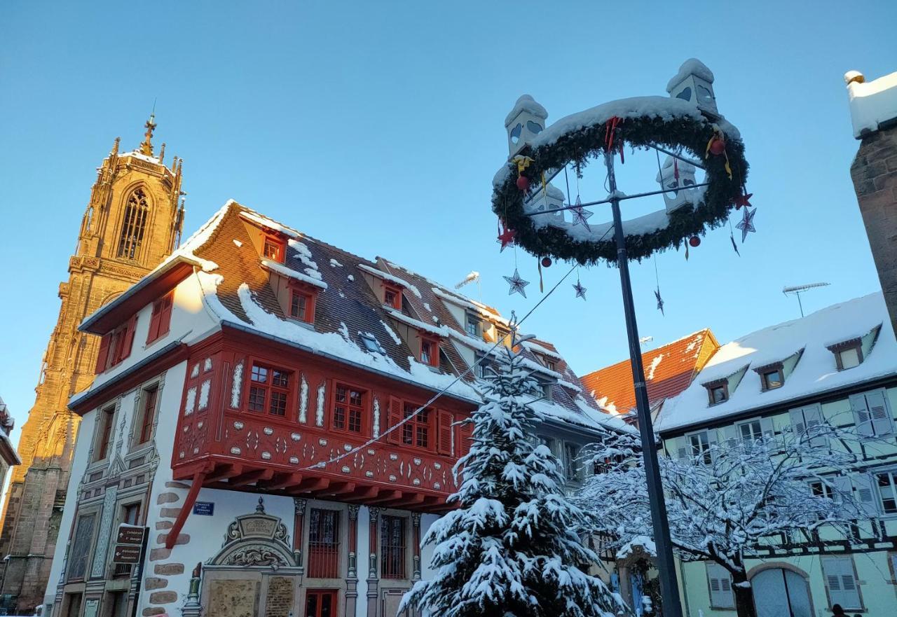 La Maison Bleue, A 20 Mn De Strasbourg, Sur La Route Des Vins, Jusqu'A 6 Personnes, 塞莱斯塔 外观 照片