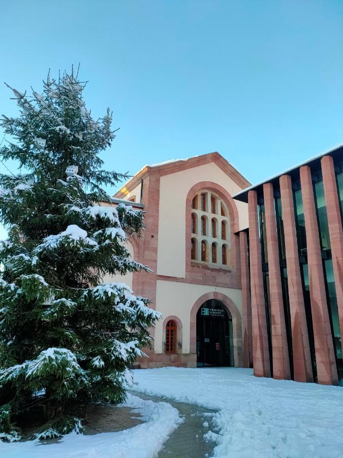 La Maison Bleue, A 20 Mn De Strasbourg, Sur La Route Des Vins, Jusqu'A 6 Personnes, 塞莱斯塔 外观 照片
