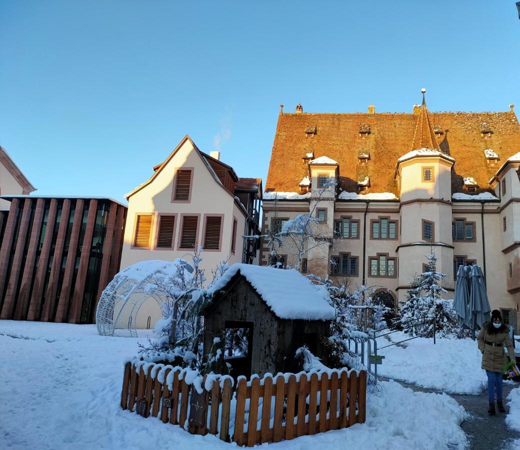 La Maison Bleue, A 20 Mn De Strasbourg, Sur La Route Des Vins, Jusqu'A 6 Personnes, 塞莱斯塔 外观 照片
