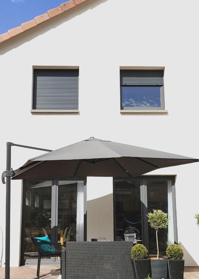 La Maison Bleue, A 20 Mn De Strasbourg, Sur La Route Des Vins, Jusqu'A 6 Personnes, 塞莱斯塔 外观 照片
