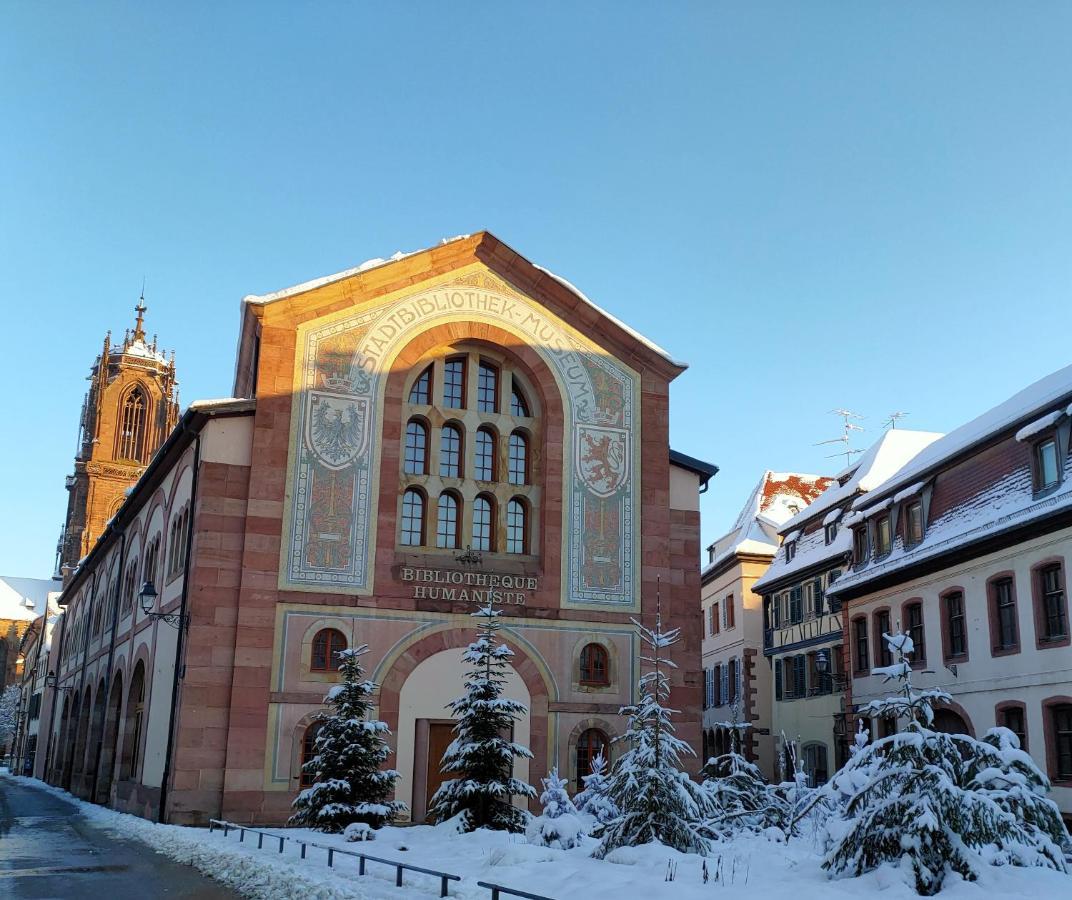 La Maison Bleue, A 20 Mn De Strasbourg, Sur La Route Des Vins, Jusqu'A 6 Personnes, 塞莱斯塔 外观 照片